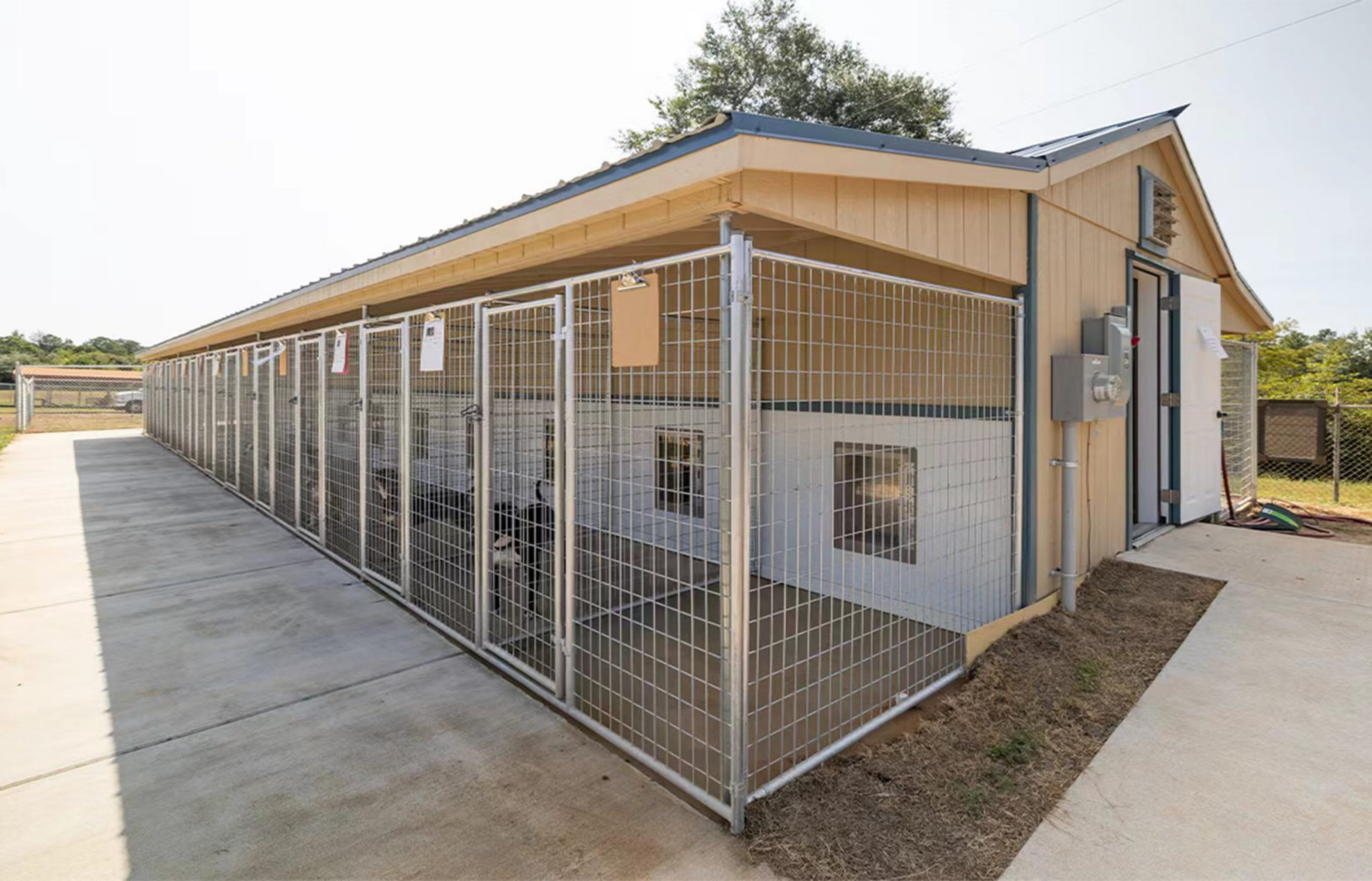dog kennels (1) dog kennels (1)